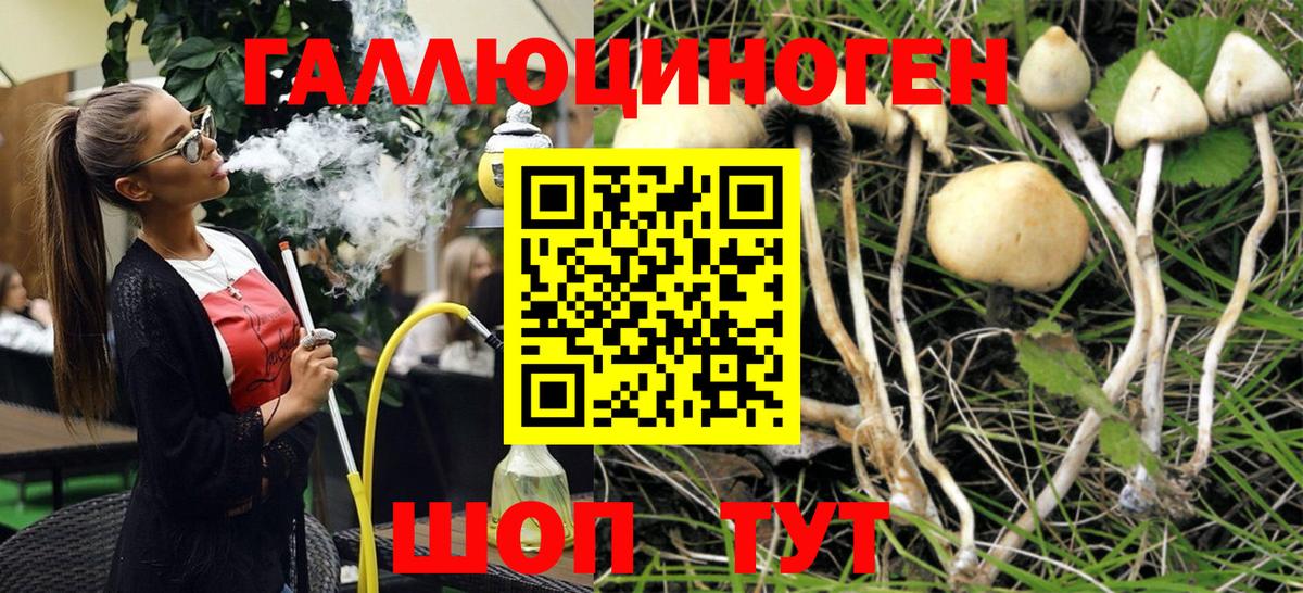 Галлюциногенные грибы мицелий Лянтор